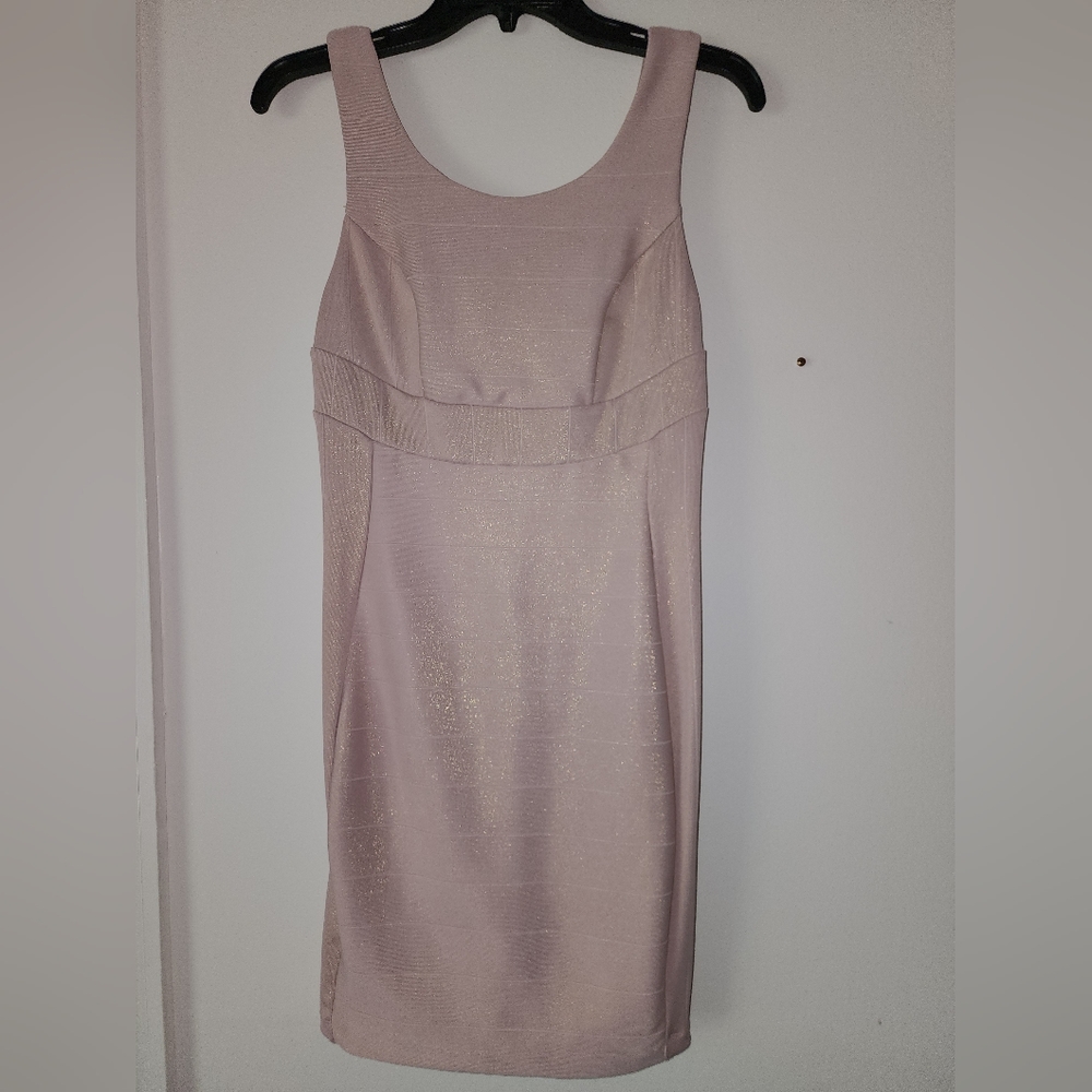 Windsor Blush Dress